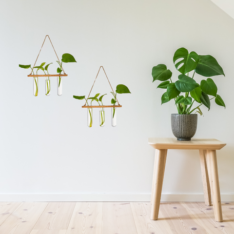 1-Tier Wall Hanging Test Tube Planter