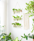 ecofynd 3-Tier Wall Hanging Test Tube Planter