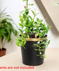 Ecofynd Black Bucket Metal Planter