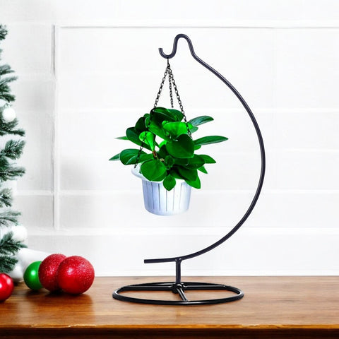 ecofynd Metal Display Stand