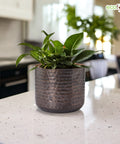 ecofynd Adam Metal Plant Pot