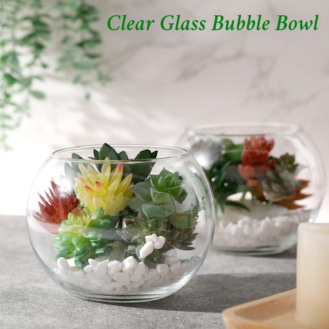 4 Inch Glass Terrarium Bowl