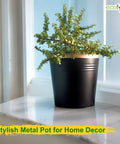 Ecofynd Black Bucket Metal Planter