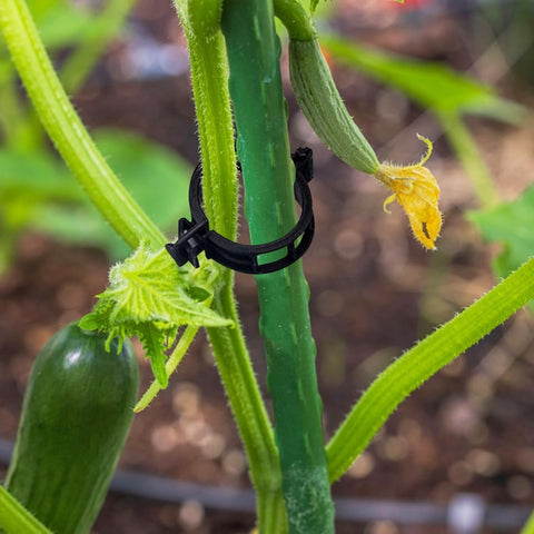 Plant Support Garden Clips