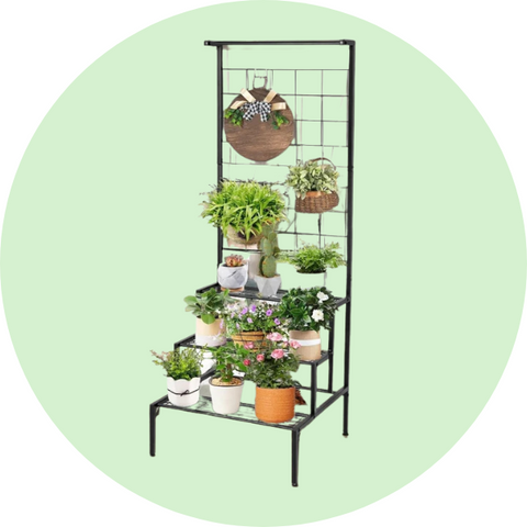 Plant Stand