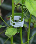 ecofynd Plant Support Garden Clips