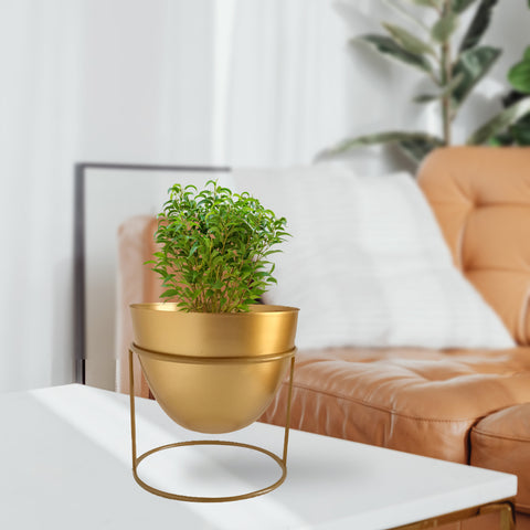 Alle Gold Metal Plant Pot with Stand