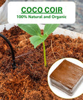 ecofynd Cocopeat Block for Home Garden