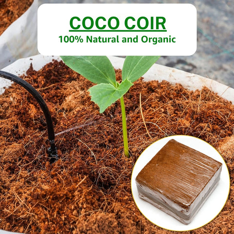 Cocopeat Block for Home Garden