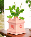 ecofynd Ceramic Tulsi Plant Pot