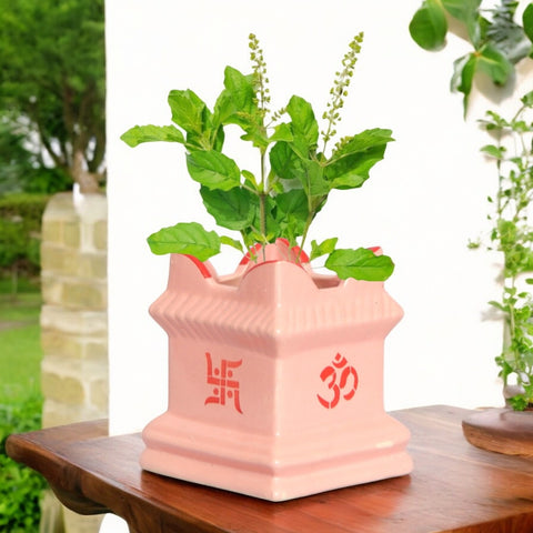 Ceramic Tulsi Plant Pot