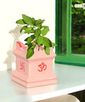 ecofynd Ceramic Tulsi Plant Pot