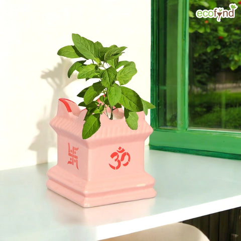 Ceramic Tulsi Plant Pot