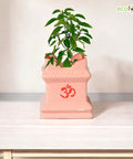 ecofynd Ceramic Tulsi Plant Pot