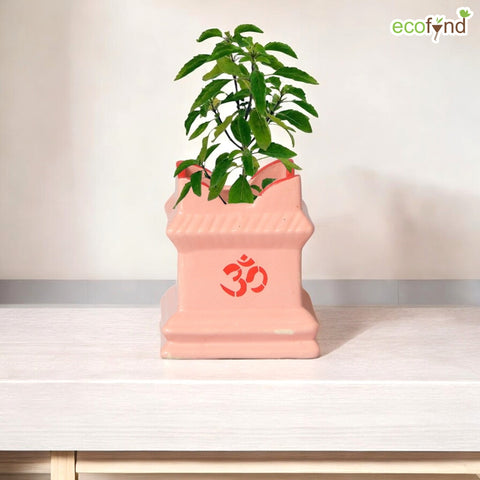 Ceramic Tulsi Plant Pot