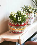 ecofynd Ceramic Plant Pot