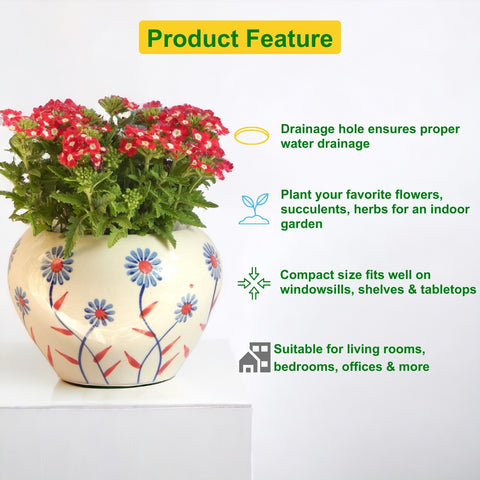 Ceramic Plant Pot