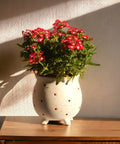 ecofynd Ceramic Plant Pot