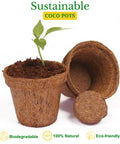 ecofynd 4 inches Coir Pots