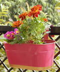 ecofynd Oval Pink 12" Balcony Railing Planter