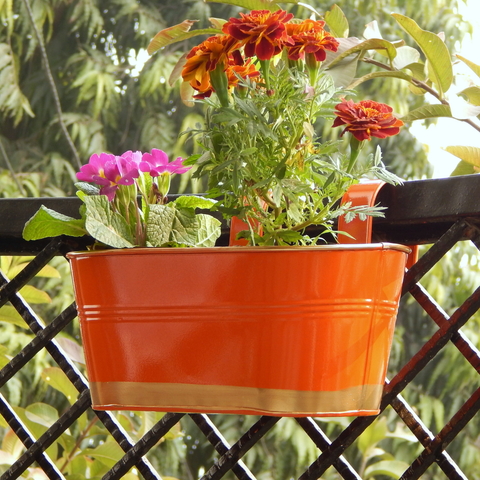 Oval Orange/Gold 12" Balcony Railing Planter