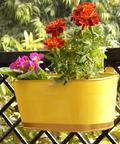 ecofynd Oval Yellow 12" Balcony Railing Planter