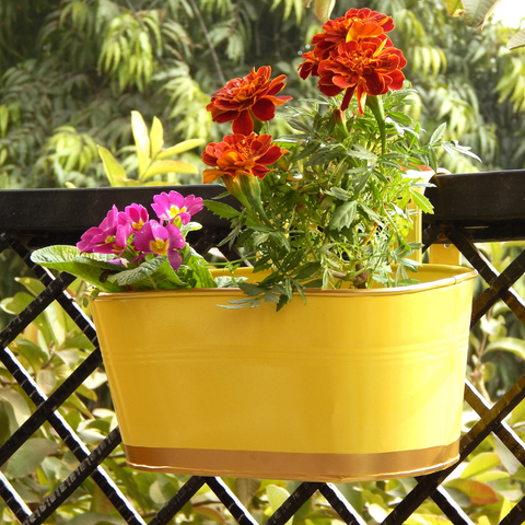 Oval Yellow/Gold 12" Balcony Railing Planter