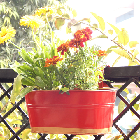 Oval Red/Gold 12" Balcony Railing Planter