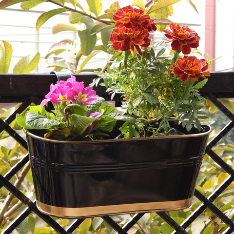 Oval Black/Gold 12" Balcony Railing Planter