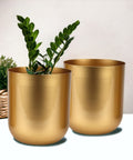 Ecofynd Succulent Gold Metal Plant Pot