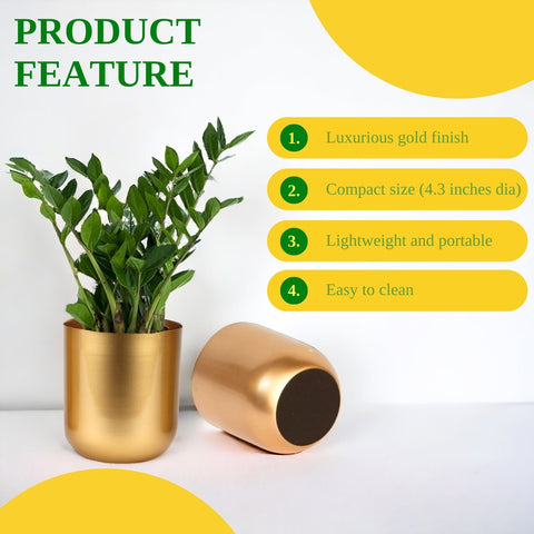 Succulent Gold Metal Plant Pot