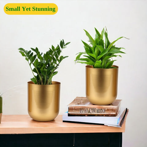 Succulent Gold Metal Plant Pot