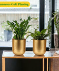 Ecofynd Succulent Gold Metal Plant Pot