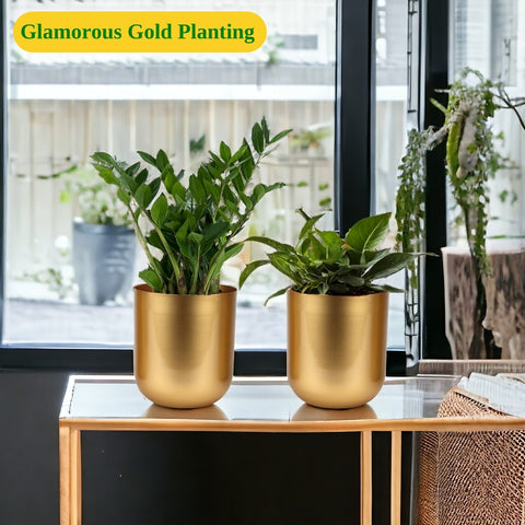 Succulent Gold Metal Plant Pot