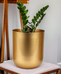 Ecofynd Succulent Gold Metal Plant Pot