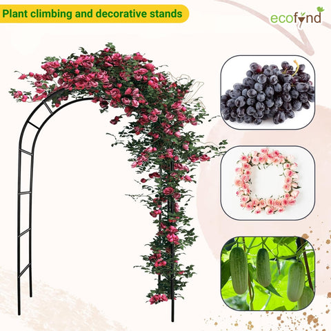 Garden Arch Plant Stand