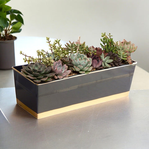 16 Inches Rectangular Metal Plant Pot