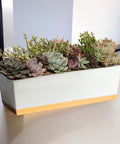 ecofynd 16 Inches Rectangular Metal Plant Pot