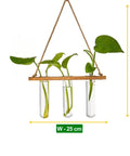 ecofynd 1-Tier Wall Hanging Test Tube Planter