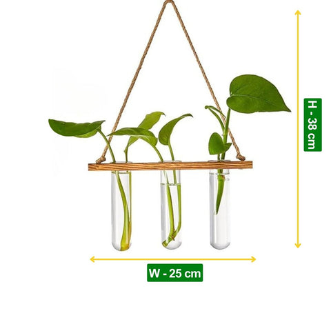 1-Tier Wall Hanging Test Tube Planter