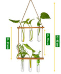 ecofynd 2-Tier Wall Hanging Test Tube Planter