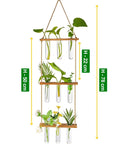 ecofynd 3-Tier Wall Hanging Test Tube Planter