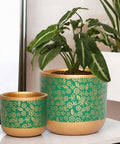 ecofynd 2 Pack Terracotta Pots for Plants