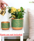 ecofynd 2 Pack Terracotta Pots for Plants