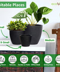 ecofynd 3 Pack Terracotta Pots for Plants