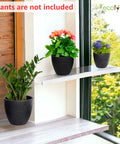 ecofynd 3 Pack Terracotta Pots for Plants