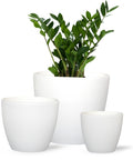 ecofynd 3 Pack Terracotta Pots for Plants