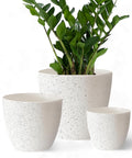 ecofynd 3 Pack Terracotta Pots for Plants