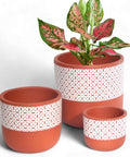 ecofynd 3 Pack Terracotta Pots for Plants