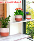 ecofynd 3 Pack Terracotta Pots for Plants